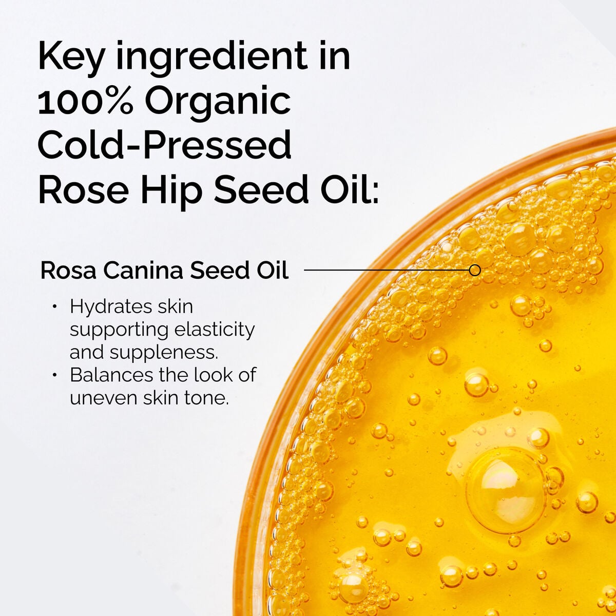 100-organic-cold-pressed-rose-hip-seed-oil-r7 FY25-D41247-ORD-Web-PDP-100-Rose-Hip-Oil-1x1-EN-2.jpg