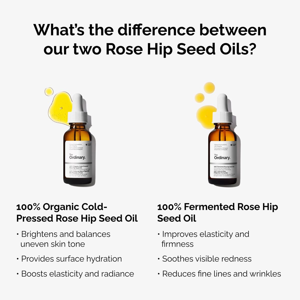 100-fermented-rose-hip-seed-oil-q6 fermented-rose-hip-vs-organic-rose-hip-graphic.jpg