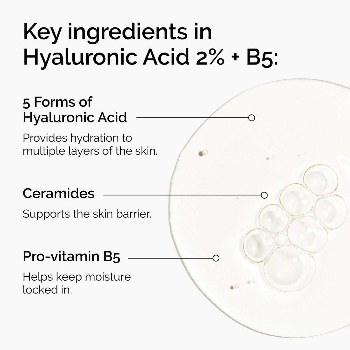 hyaluronic-acid-2-b5-with-ceramides-a7 ord-hyaluronic-acid-2pct-b5-hydrating-serum-ingredients-graphic.jpg
